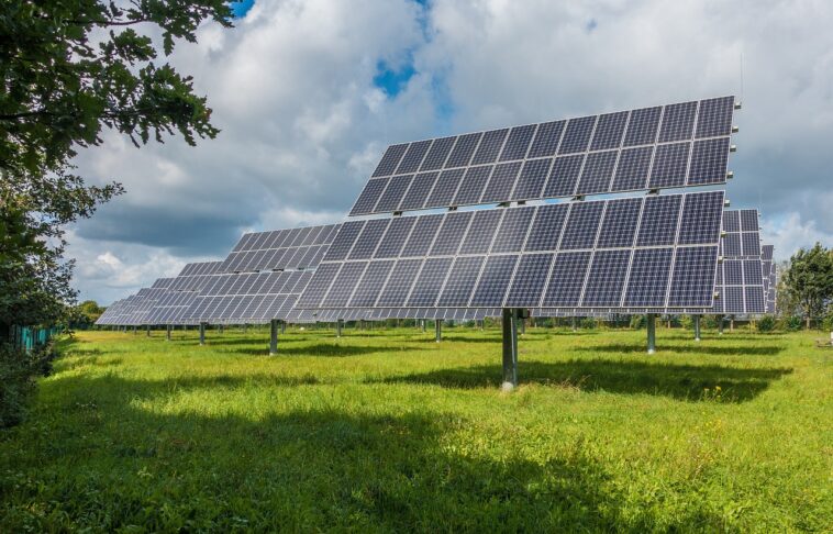 Panneau solaire photovoltaïque - Forbes France