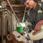 "La Ferme des Bertrand" de Gilles Perret retrace 50 ans d’histoire d’une production laitière