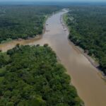 La déforestation en Amazonie brésilienne a atteint son plus bas niveau depuis 2018 en janvier et février