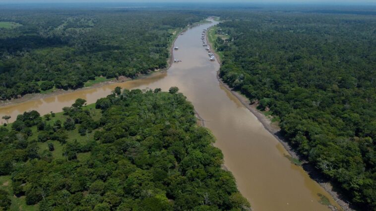 La déforestation en Amazonie brésilienne a atteint son plus bas niveau depuis 2018 en janvier et février