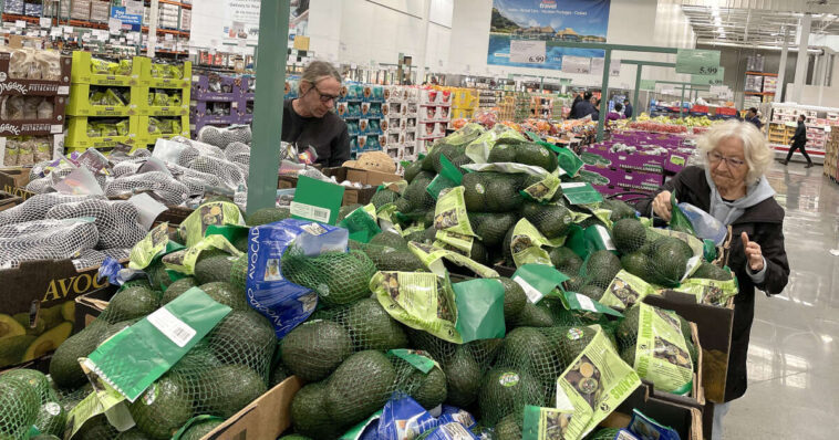 Avocat, tequila, mezcal… L’Amérique boit et mange le Mexique, désastre écologique à la clé