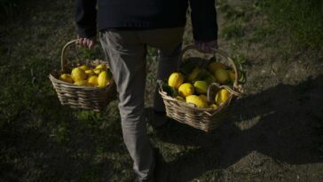 L’Assemblée nationale approuve la mise en place de prix planchers pour les agriculteurs