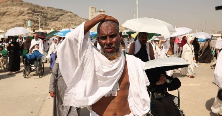 Près de 600 morts à La Mecque, où les températures ont atteint 52 degrés à l’ombre