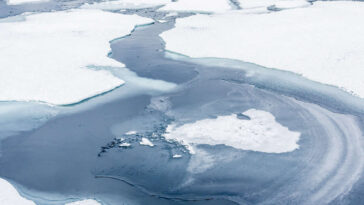 Passer du Pacifique à l’Atlantique par le pôle Nord, pas si facile malgré la fonte des glaces