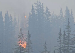 La ville canadienne de Jasper ravagée par “un mur de flammes”
