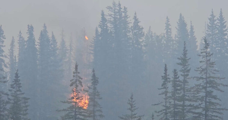 La ville canadienne de Jasper ravagée par “un mur de flammes”