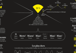 Tout ça pour chat ! Un focus sur le genre félin