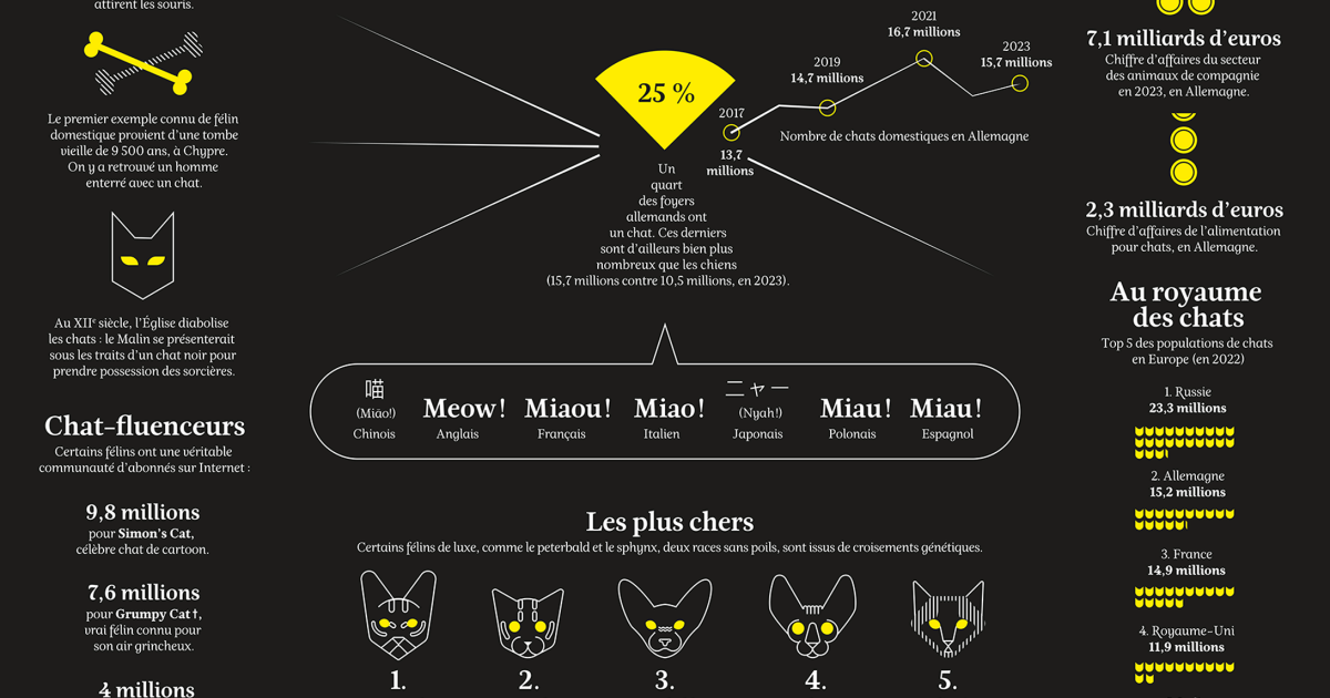 Tout ça pour chat ! Un focus sur le genre félin