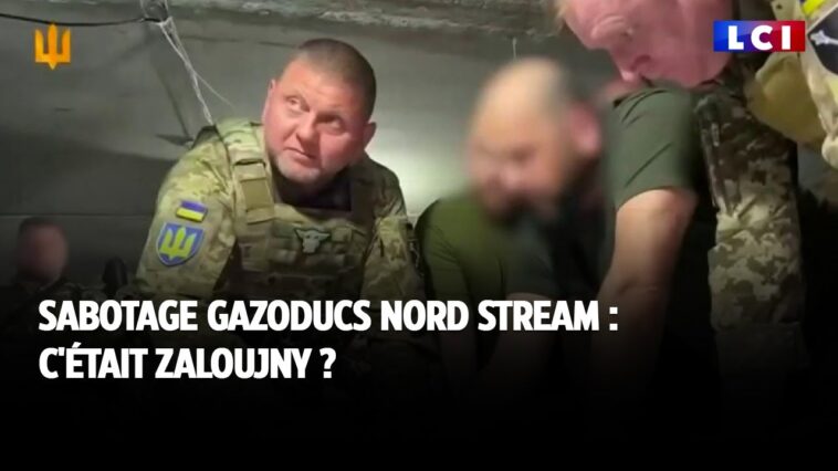 Sabotage gazoducs Nord Stream : c'était Zaloujny ?