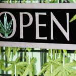 En Californie, les cafés dédiés au cannabis seront autorisés à partir de 2025