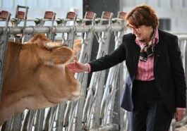 “Ils en ont ras-le-bol”: la ministre française de l’Agriculture annonce une série de mesures face à la colère agricole