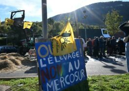 Pourquoi les agriculteurs français se mobilisent de nouveau contre un accord avec le Mercosur ?