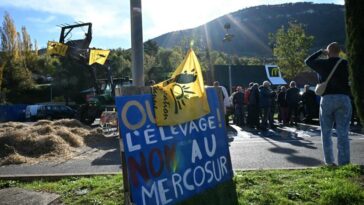 Pourquoi les agriculteurs français se mobilisent de nouveau contre un accord avec le Mercosur ?