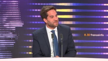 "On a dépassé le juridique et on est rentré dans le politique", fustige Thomas Ménagé après les réquisitions