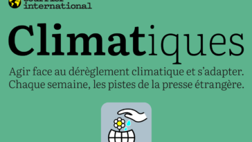 Une COP29 à crédit