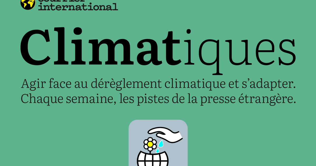 Une COP29 à crédit