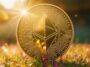 ethereum eth coin sunshine gID 7