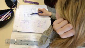 Le niveau des élèves français en maths et en sciences est en dessous de la moyenne de l'OCDE mais cesse de chuter, selon une étude internationale