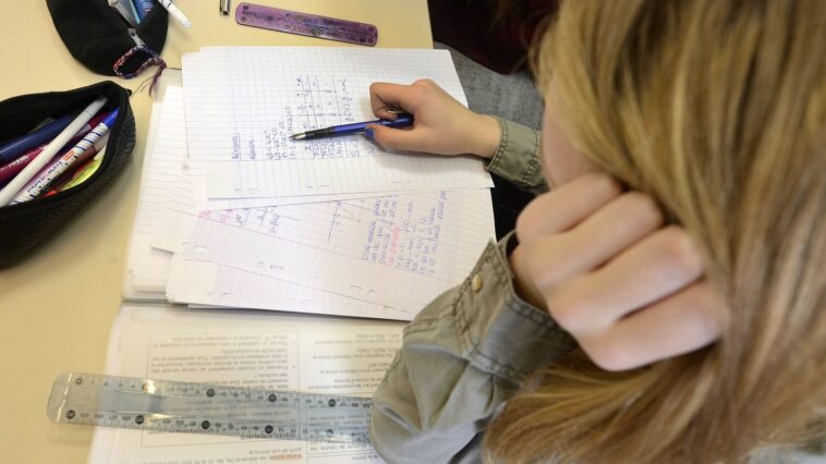 Le niveau des élèves français en maths et en sciences est en dessous de la moyenne de l'OCDE mais cesse de chuter, selon une étude internationale