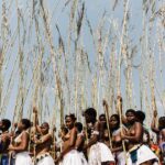 les Zoulous sud-africains veillent sur leurs traditions