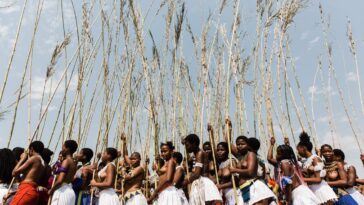 les Zoulous sud-africains veillent sur leurs traditions