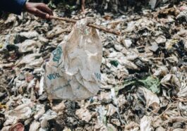 Au Kenya, la mafia des sacs plastique défie les autorités