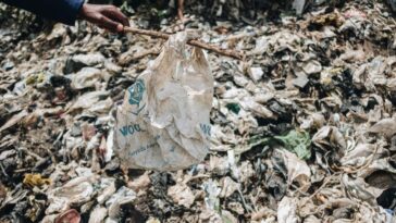 Au Kenya, la mafia des sacs plastique défie les autorités