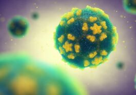 Des traces de poliovirus détectées dans plusieurs pays européens intriguent les scientifiques